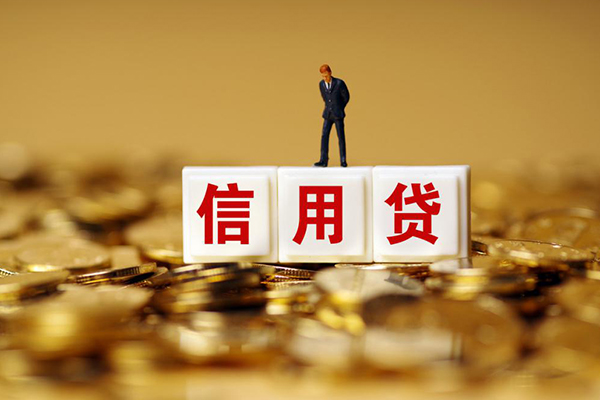 上海个人个人贷款额-上海个人哪里可以借钱-上海个人信用贷款办理